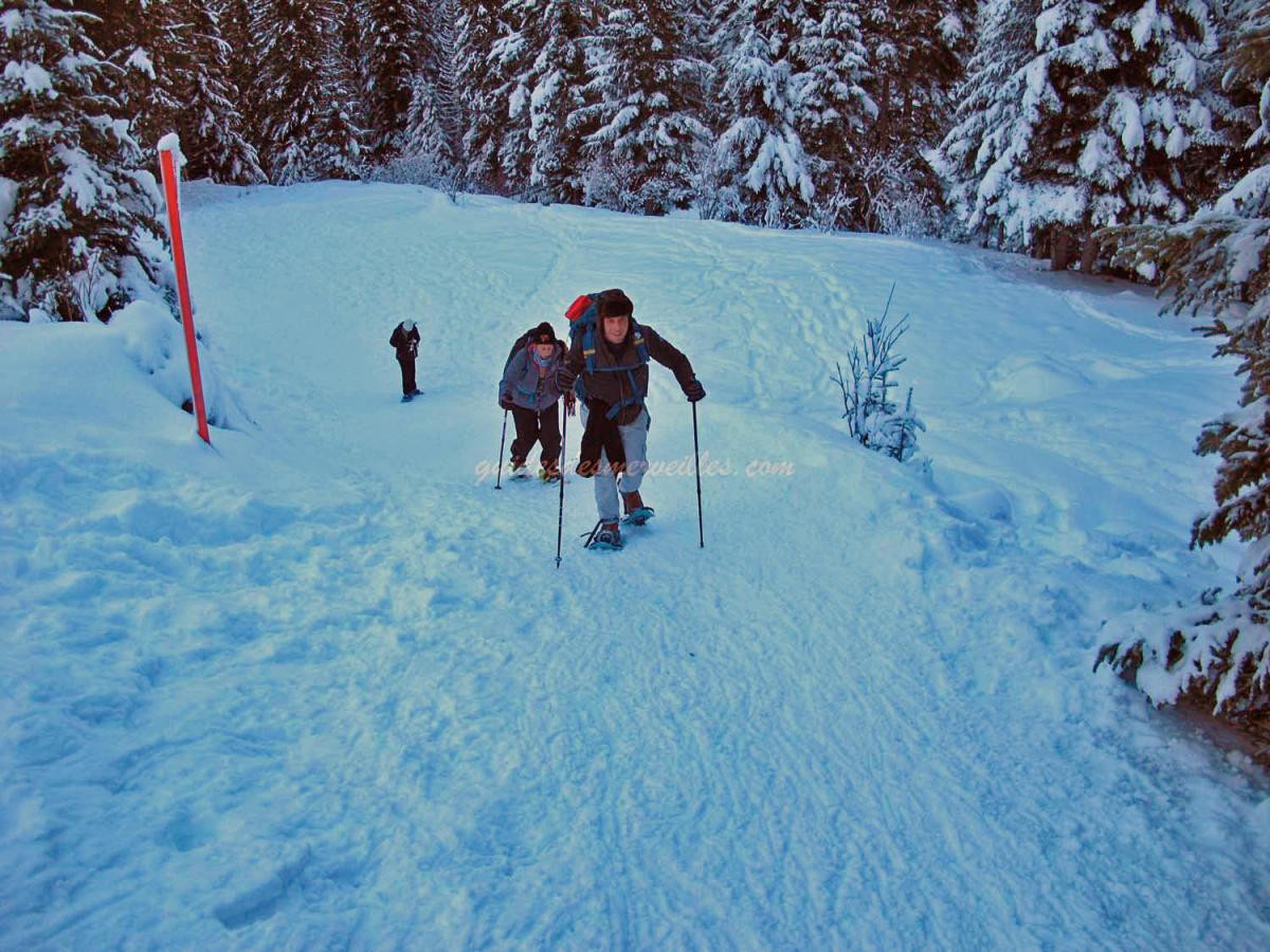 Randonnée en raquettes à neige dans la forêt nordique du Boréon