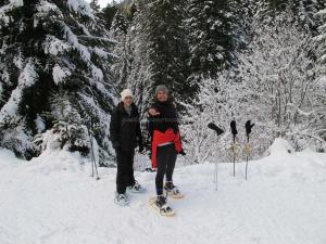 Randonnée en raquettes à neige dans la forêt nordique du Boréon