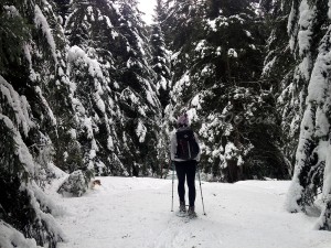 randonnée-raquettes-à-neige-0619