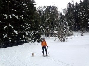 randonnée-raquettes-à-neige-0626