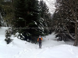 randonnée-raquettes-à-neige-0630